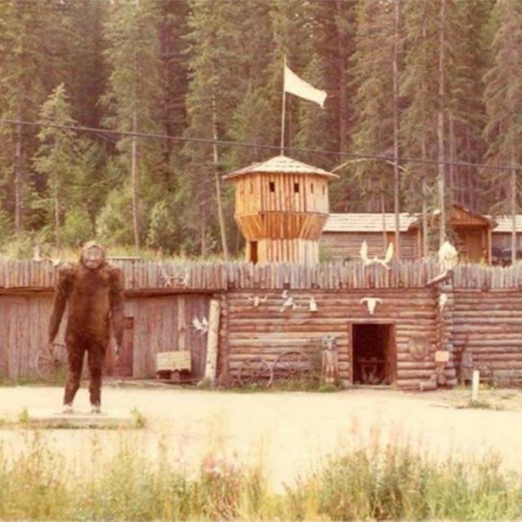 Meet your Posher, Steve - Picture 1 of 1